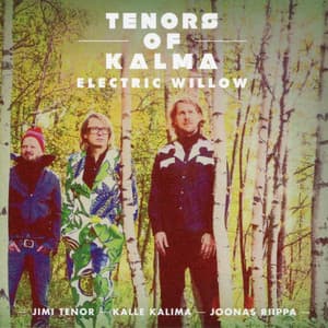 Electric Willow - Jimi Tenor