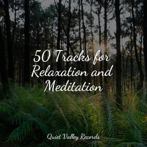 50 Tracks for Relaxation and Meditation - White Noise Baby Sleep