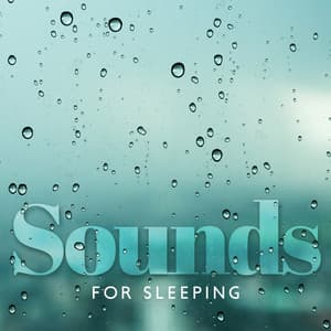 Sounds for Sleeping: Rain Sounds with Instruments to Help You Fall Asleep, Nighttime Ritual with Sleep Jar to Relax - Sleepy Music Zone
