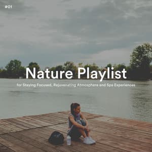 #01 Nature Playlist for Staying Focused, Rejuvenating Atmosphere and Spa Experiences - The Nature Soundscapes