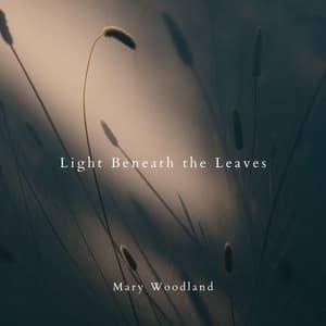 Light Beneath the Leaves - Mary Woodland