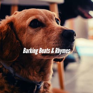 Barking Beats & Rhymes - Calming Jazz For Dogs