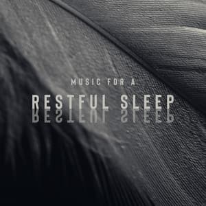 Music for a Restful Sleep: Soothing Mind, Deep Sleep, Beautiful Dreams, Insomnia Relief - Sleep New Age Master