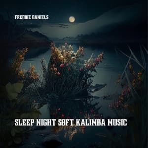 Sleep Night, Soft Kalimba Music - Freddie Daniels