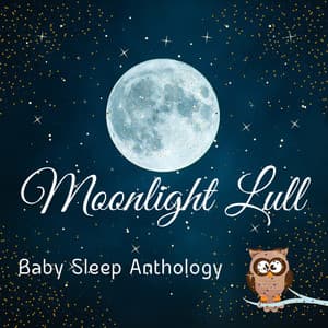 Moonlight Lull: Baby Sleep Anthology - Dabrino