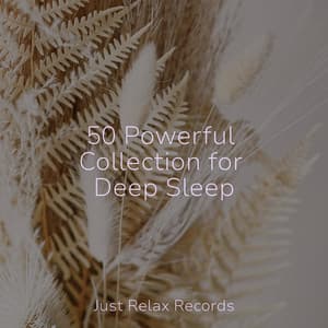 50 Powerful Collection for Deep Sleep - Chakra Balancing Sound Therapy