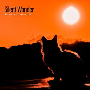 Silent Wonder - Relaxing Cat Music