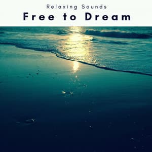 Free to Dream - Sleep Magic