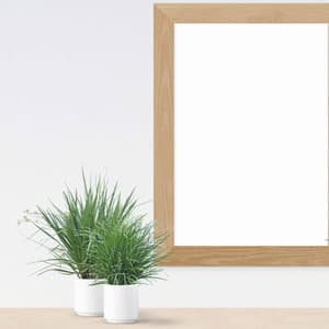 Saxophone Bossa - Bgm for Jazzy Favorites - Música para Desayuno