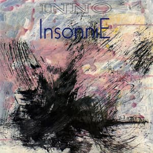 Insonnie - Mauro Manzoni