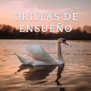 Orillas De Ensueño: Oasis De Sonidos Del Océano Soñoliento - ASMR Deluxe