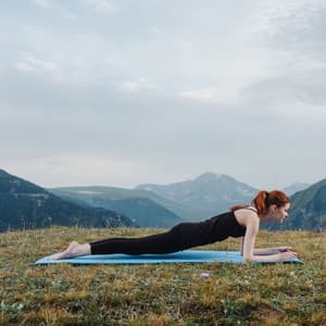 Nature's Yoga Oasis: Chill Sound with Meditative Birds - Birds In The Forest