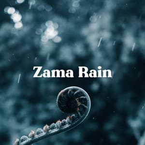 Cozy Forest Rain - Zama Rain
