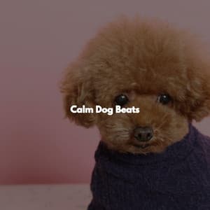 Calm Dog Beats - Descansar Musica