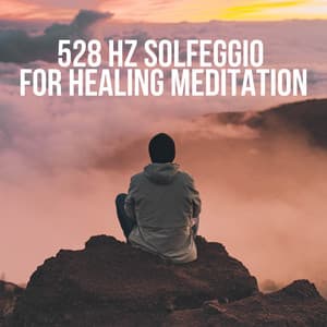 528 Hz Solfeggio for Healing Meditation - Solfeggio Frequencies for Meditation