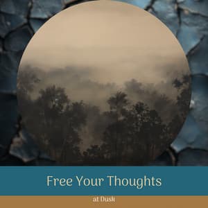 Free Your Thoughts at Dusk - Night Ambience Lovers