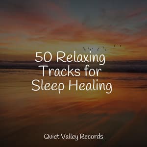 50 Relaxing Tracks for Sleep Healing - Pro Sounds of Nature
