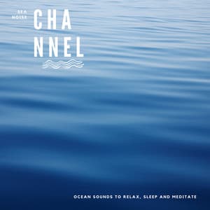 Ocean Sounds to Relax, Sleep and Meditate - Sea Noise Channel