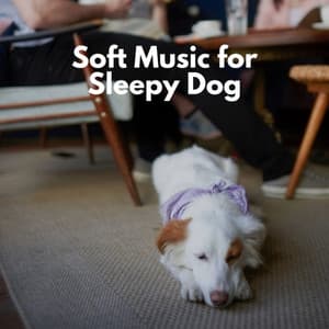 Soft Music for Sleepy Dog - Jazz Instrumental Chill