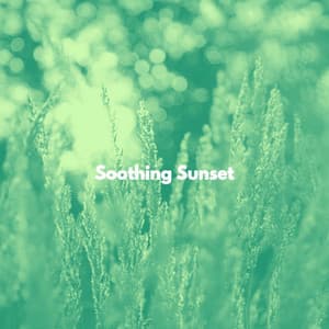 Soothing Sunset - Smooth Jazz New York