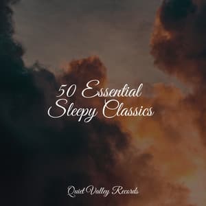 50 Essential Sleepy Classics - Rain Sounds For Sleep