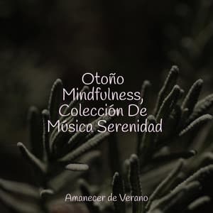 Otoño Mindfulness, Colección De Música Serenidad - Relajación Piano