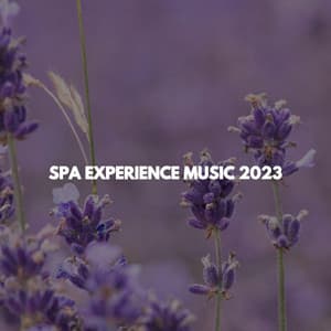 SPA EXPERIENCE MUSIC 2023 - Deep Sleep Meditation Radio