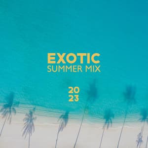 Exotic Summer Mix 2023: Deep House Relax, Cafe Ibiza Chill Del Mar - DJ Chill Groove