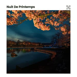 Nuit De Printemps - Ambiente