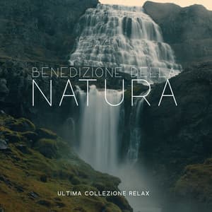 Benedizione della natura: Ultima collezione relax - Suoni naturali zen