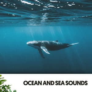 Ocean and Sea Sounds: Melodies of the Deep Blue - Dog Relaxation