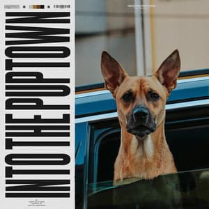 Into the Puptown - Dog Calming Music