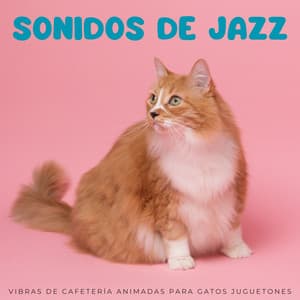 Sonidos De Jazz: Vibras De Cafetería Animadas Para Gatos Juguetones - Café Salón Jazz Chill Out