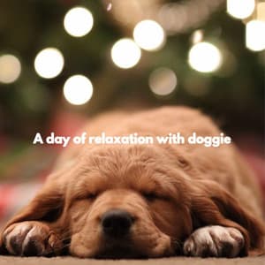 A day of relaxation with doggie - Night Time Jazz Moods
