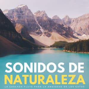 Sonidos De Naturaleza: La Cascada Fluye Para La Ansiedad De Los Gatos - Flujo de agua definitivo