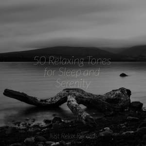 50 Relaxing Tones for Sleep and Serenity - Lucid Dreaming World-Collective Unconscious Mind