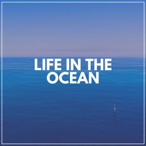 Life in the Ocean - Tailormade Ocean Waves