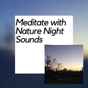 Meditate with Nature Night Sounds - Nature Meditation Channel