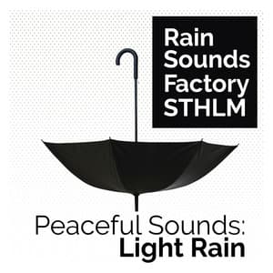 Peaceful Sounds: Light Rain - Rain Sounds Factory STHLM