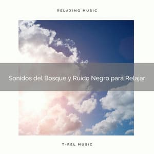 Sonidos del Bosque y Ruido Negro para Relajar - Ruido Blanco Para Estudiar