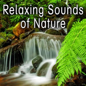 Relaxing Sounds of Nature - Nature Soundscape