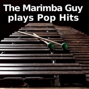 The Marimba Guy plays Pop Hits - Marimba Guy