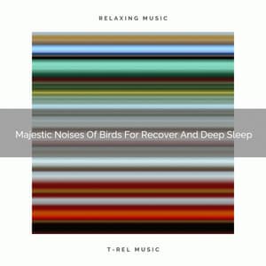 2021 New: Majestic Noises Of Birds For Recover And Deep Sleep - White Noise Meditation