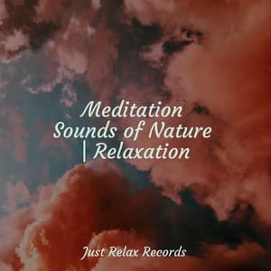Meditation Sounds of Nature | Relaxation - Baby Lullaby