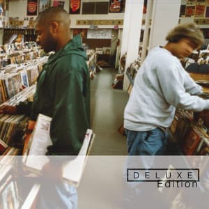 Endtroducing - DJ Shadow
