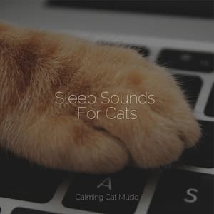 Sleep Sounds For Cats - Relaxmycat