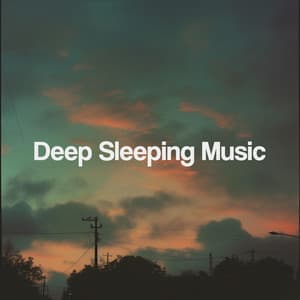 Deep Sleeping Music - Sleep Music
