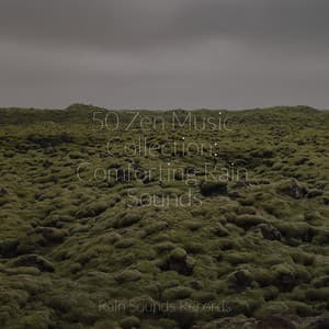 50 Zen Music Collection: Comforting Rain Sounds - Lightning, Thunder and Rain Storm