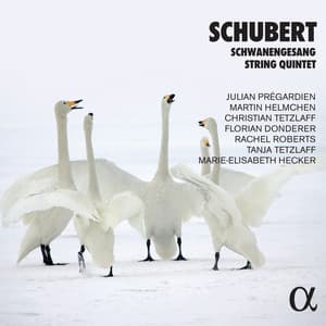 Schubert: Schwanengesang & String Quintet - Franz Schubert