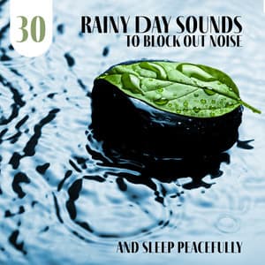 30 Rainy Day Sounds to Block out Noise and Sleep Peacefully - Forest Winston